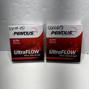 Air Filter Pentius PAB10544 Ultraflow TWO Air Filters